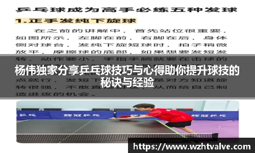 杨伟独家分享乒乓球技巧与心得助你提升球技的秘诀与经验
