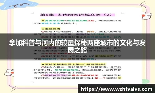 拿加科普与河内的较量探秘两座城市的文化与发展之路