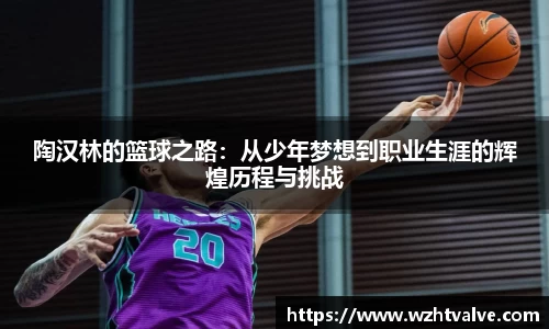 陶汉林的篮球之路：从少年梦想到职业生涯的辉煌历程与挑战